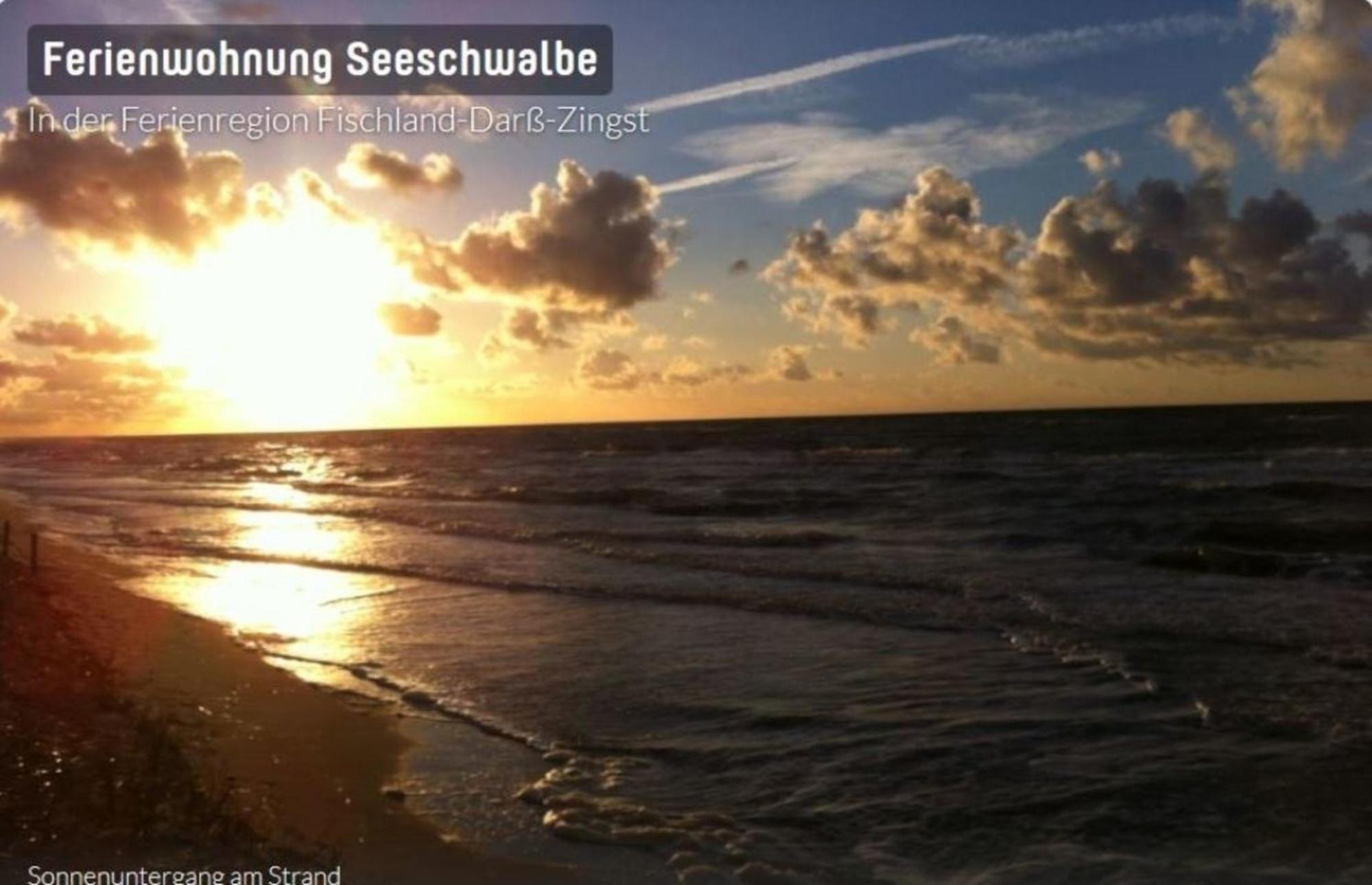Seeschwalbe App 34 Neuhaus  Экстерьер фото